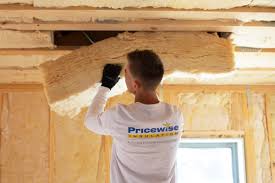 Best Eco-Friendly or Green Insulation Solutions  in Newark, TX