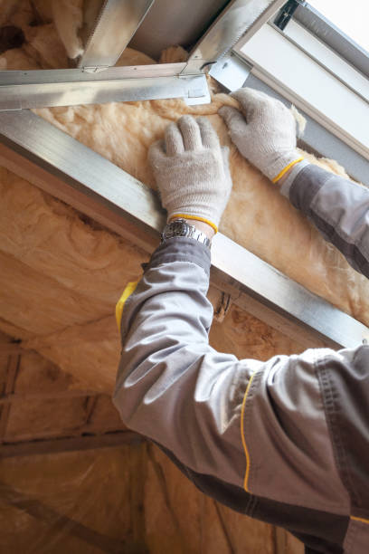 Best Batt and Roll Insulation  in Newark, TX